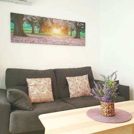 Economical Homes In Center Malaga
